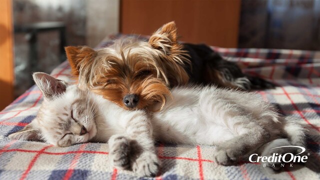 Pet Memorial Gifts
